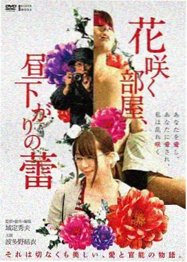 远洋信号剧集封面